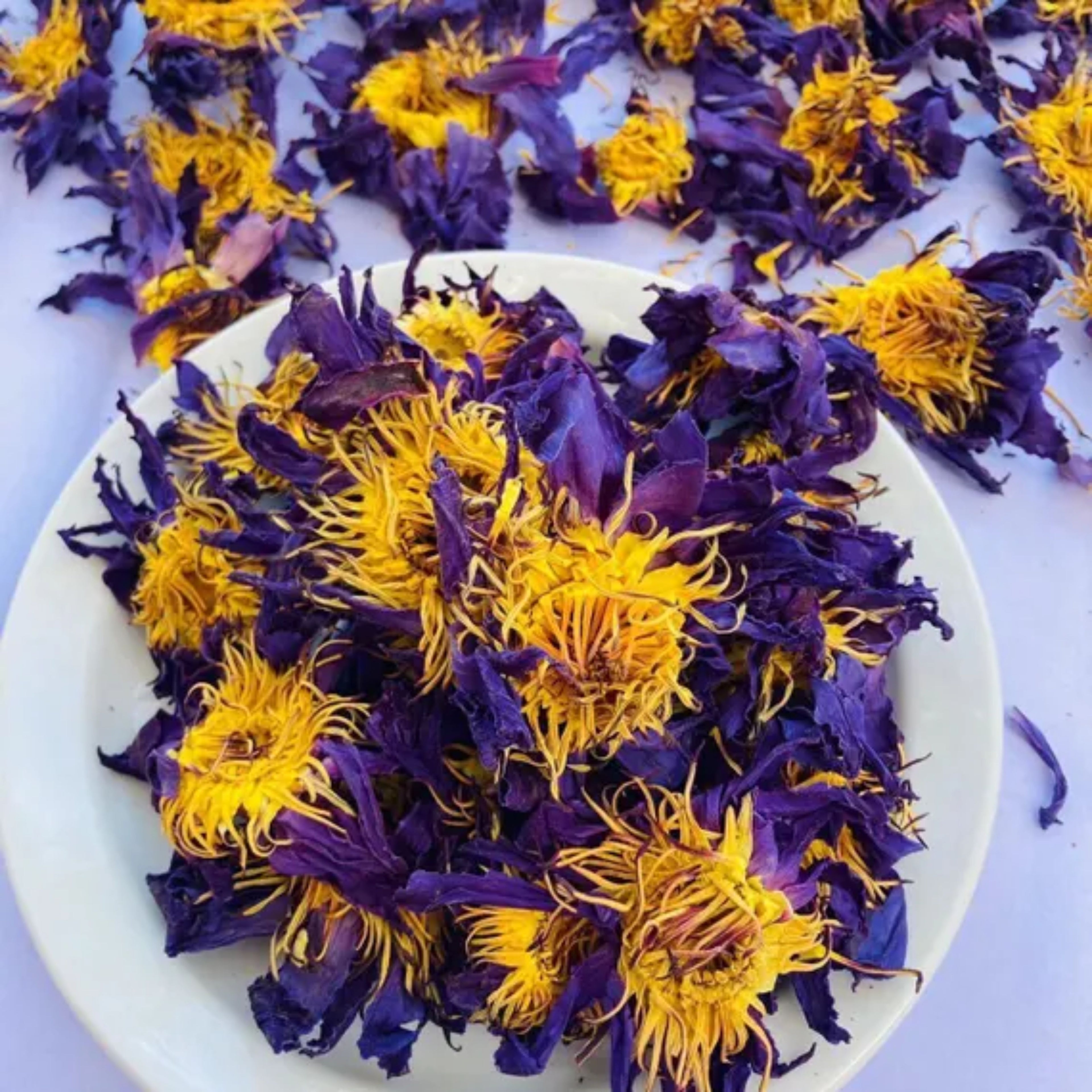 Blue Lotus Flower | Premium Quality Pure Organic Dried Flowers | Blue Herbs Tea | Nymphaea caerulea 20kg