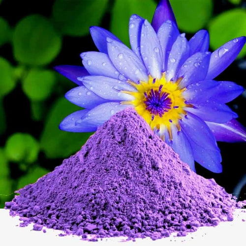 Egyptian Blue Lotus Petals Powder • 100% Organic • Nymphaea caerulea • Blue Lotus Flower Petals Extract